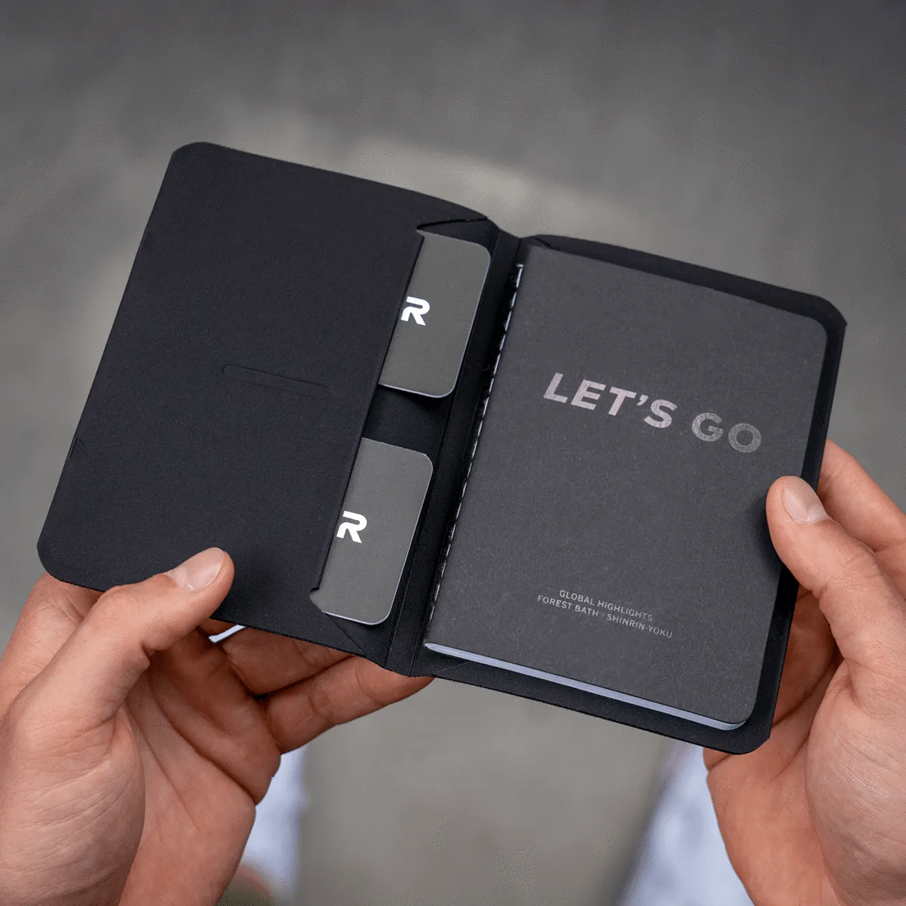 BORDERLESS Passport / Notebook Holder