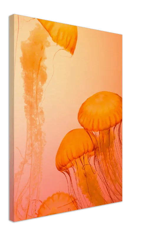 Jellyfish Alternative - Print