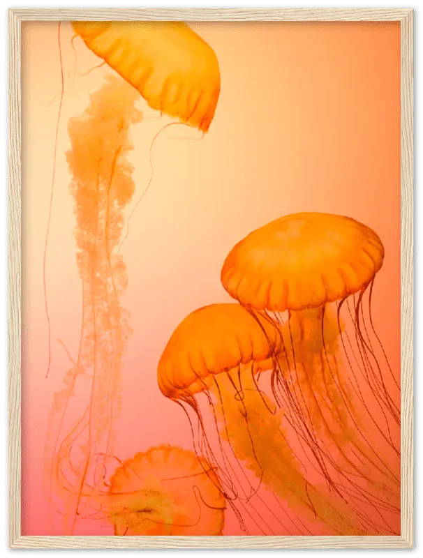 Jellyfish Alternative - Print