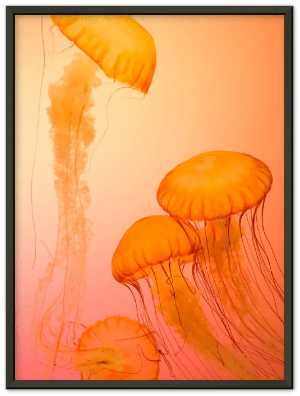 Jellyfish Alternative - Print