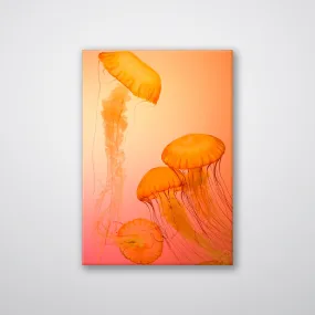 Jellyfish Alternative - Print