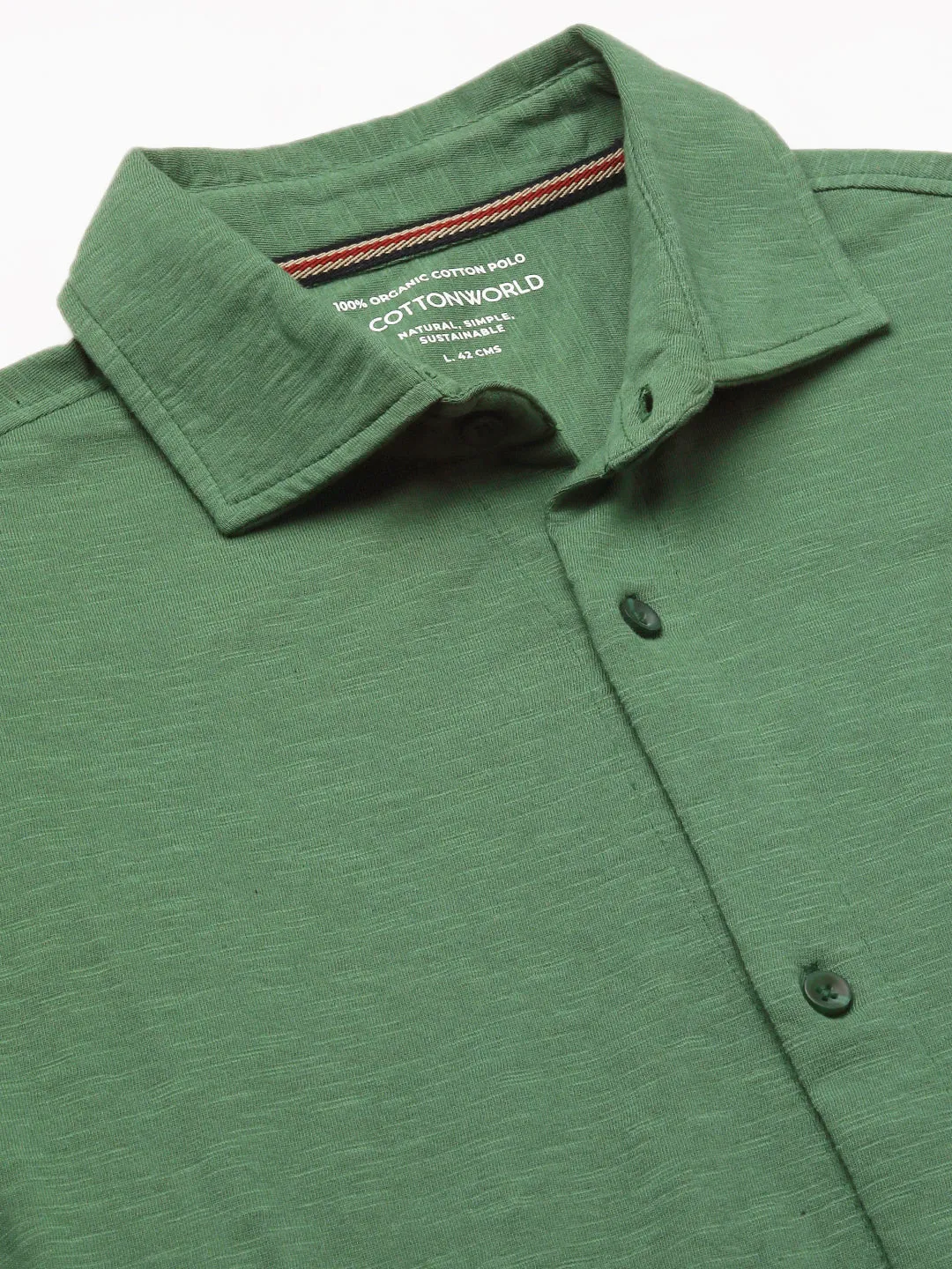 Men's Green Cotton Regular Fit Tshirt