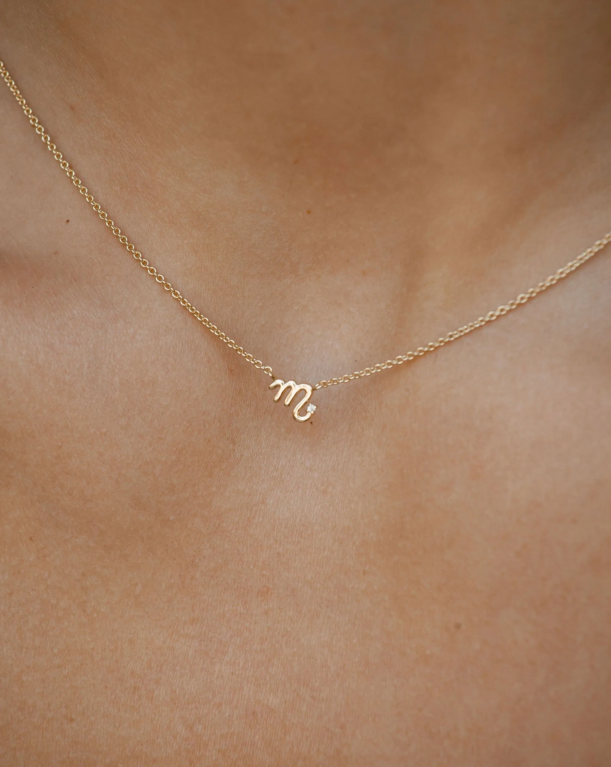 Scorpio Symbol Choker