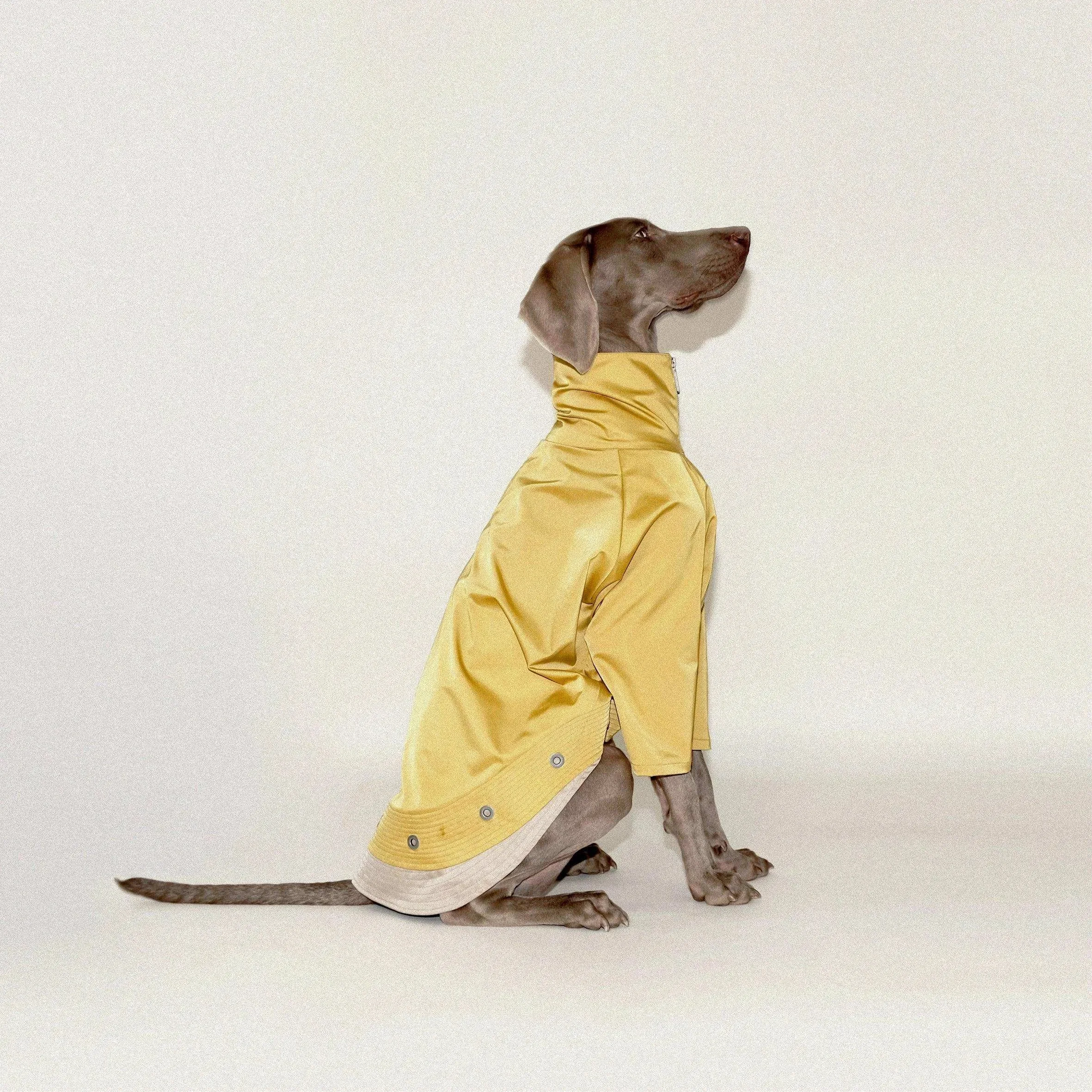 Torrential Tracker Waterproof Dog Coat