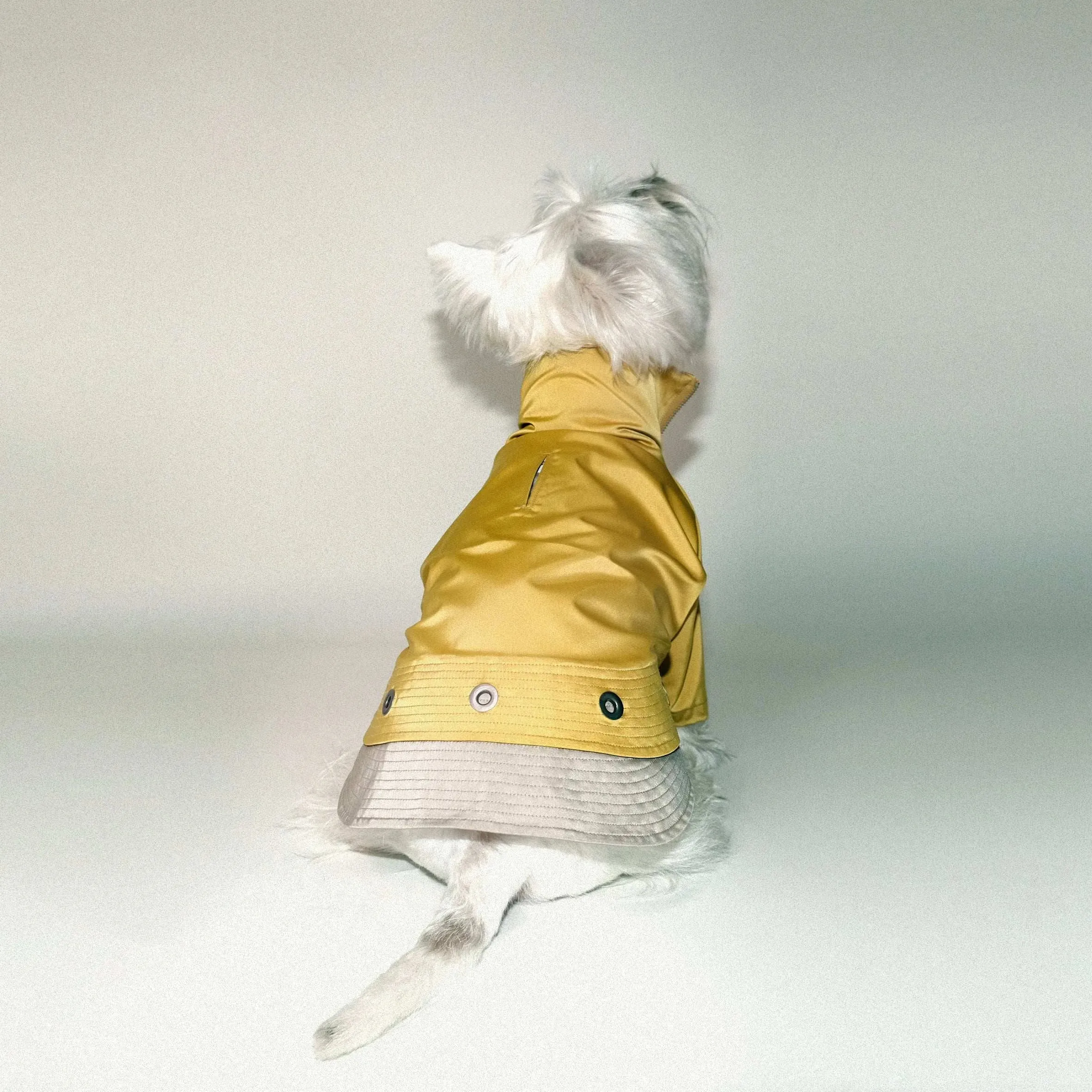 Torrential Tracker Waterproof Dog Coat