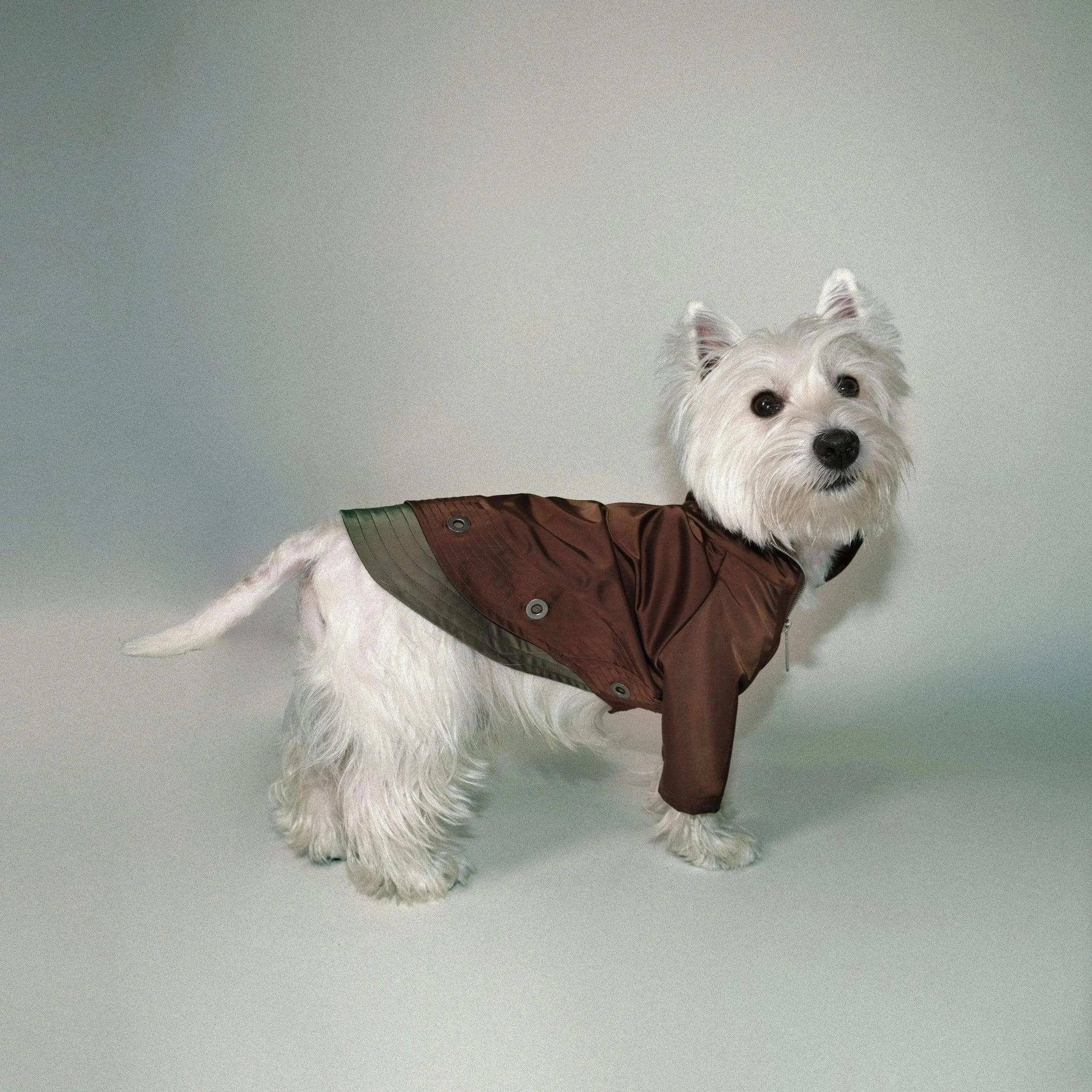 Torrential Tracker Waterproof Dog Coat