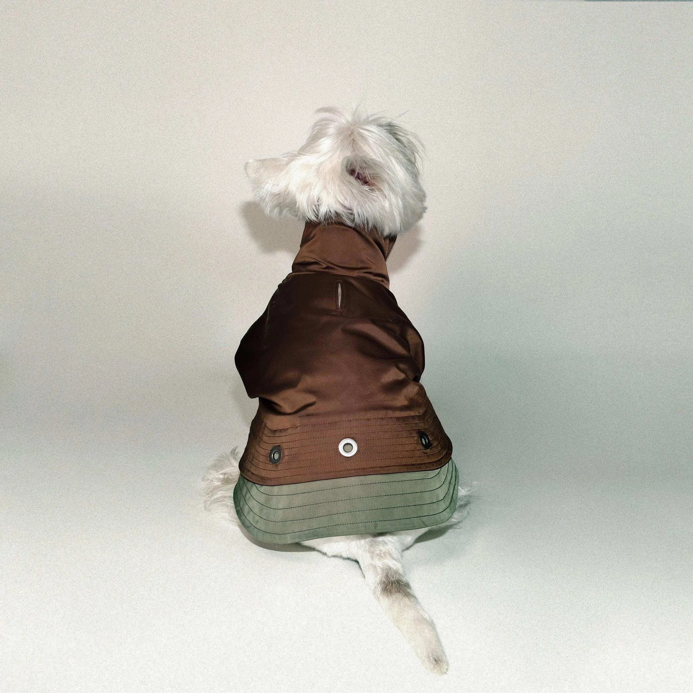 Torrential Tracker Waterproof Dog Coat