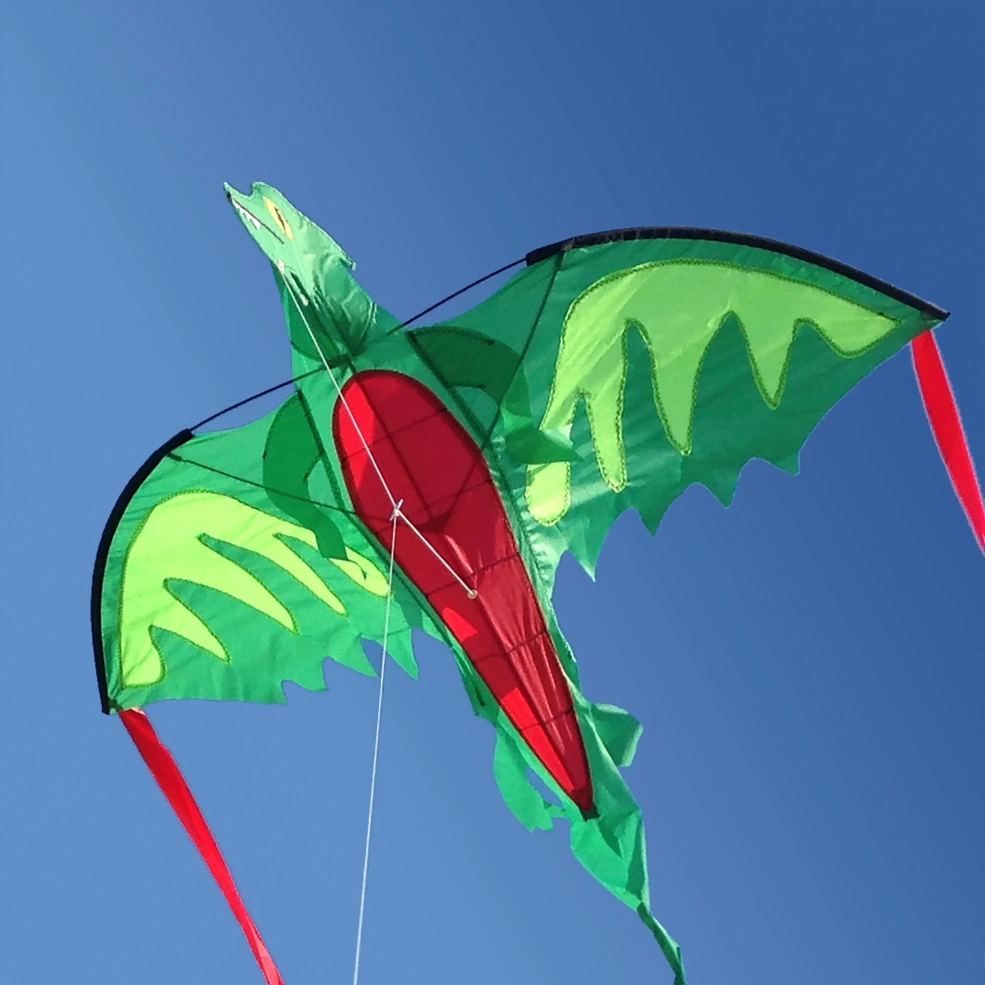 Winged Dragon Shaped Kite